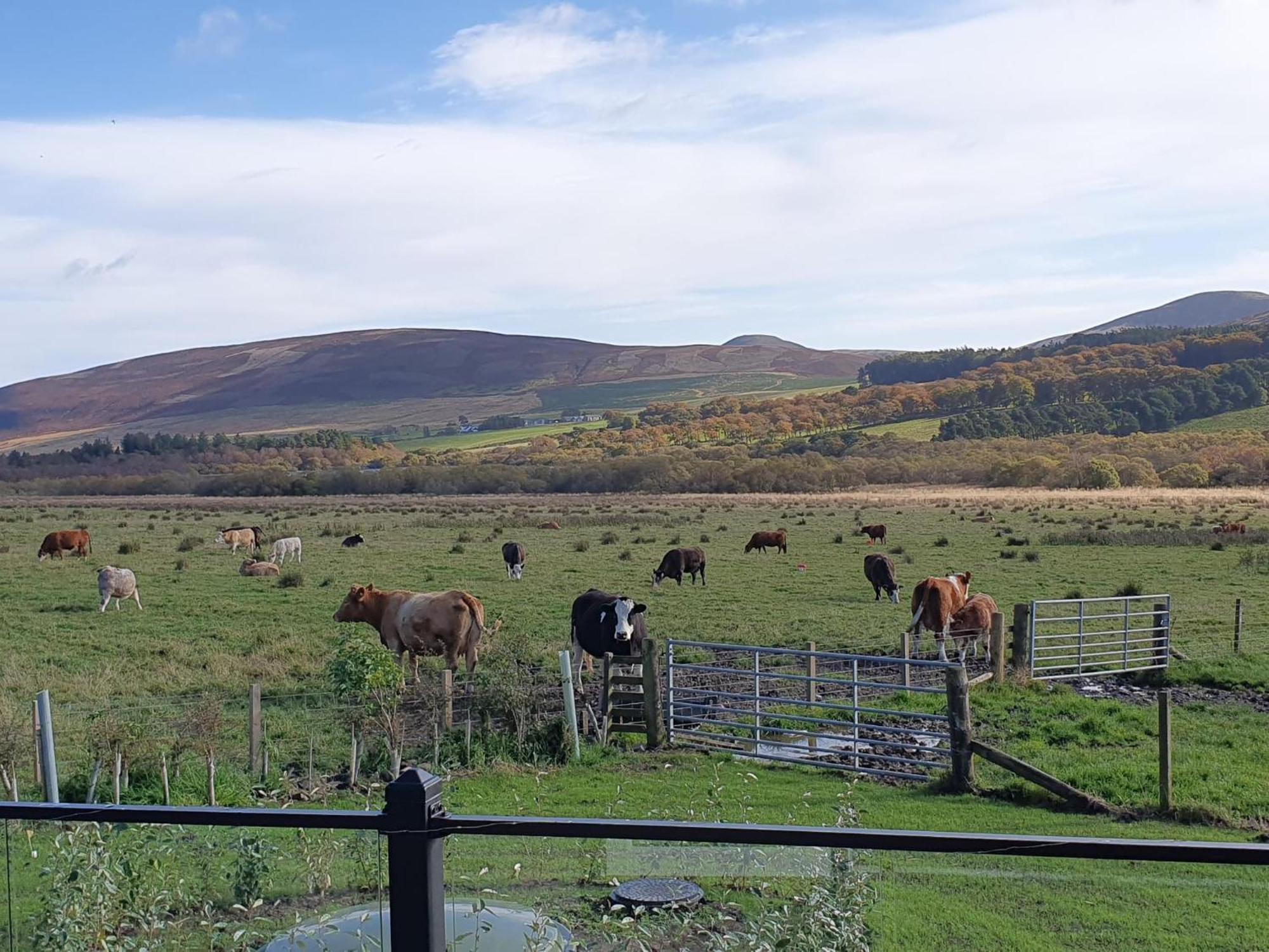 East Rigg